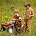 little boys with their wagon