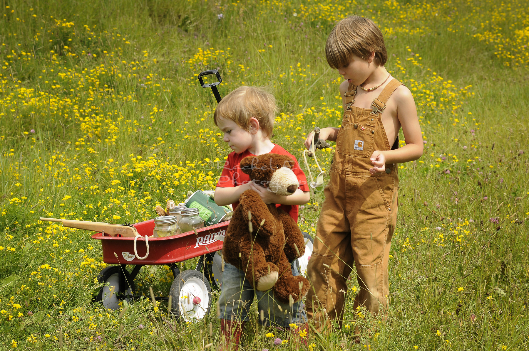 little boys with their wagon