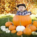 Fall Baby Portraits