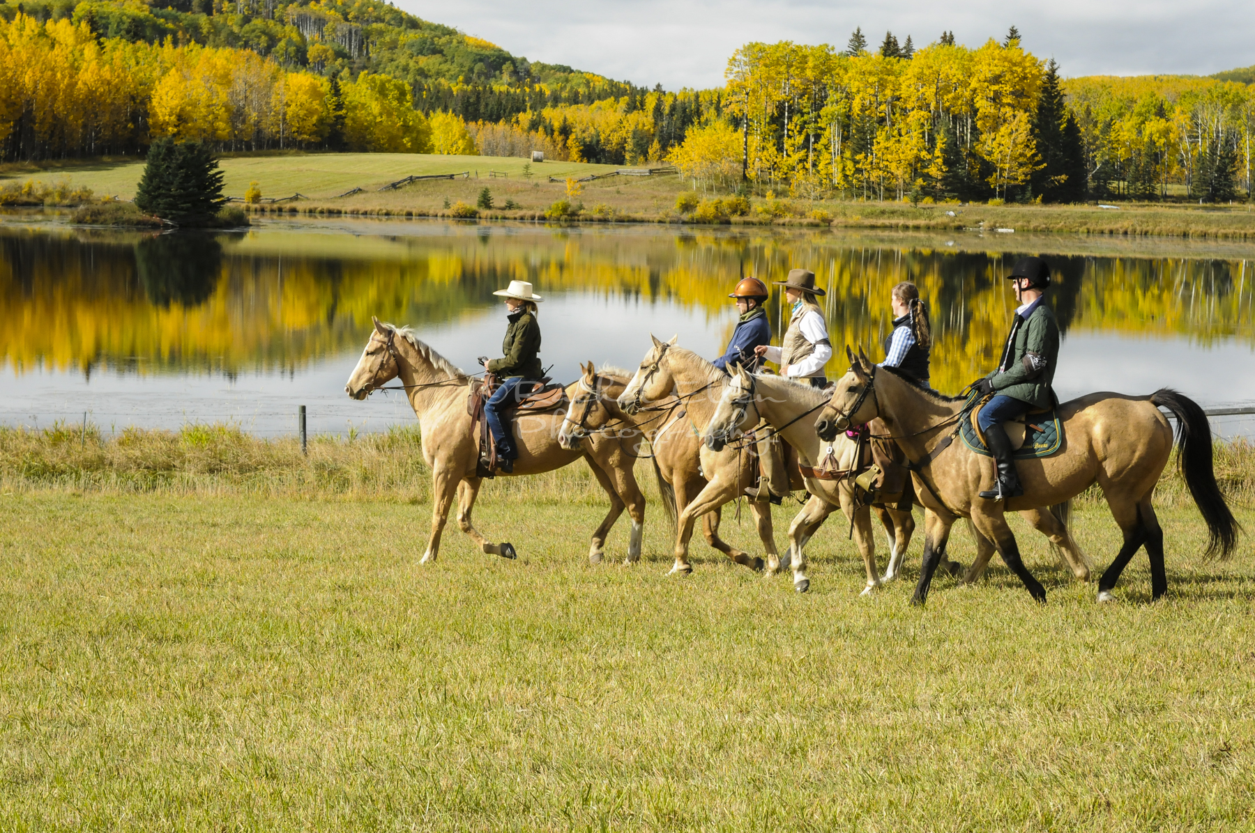 Horseback riding in the Foothills