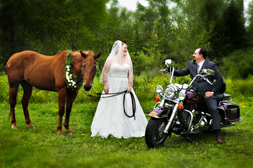 Harleys and Horses