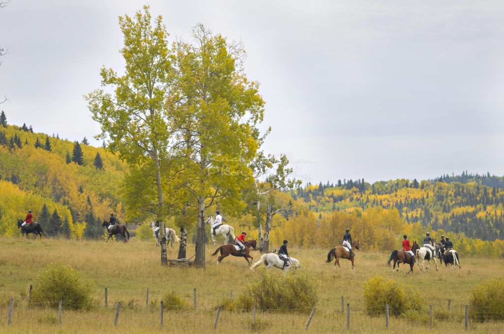 Horseback riding club -The Hunt