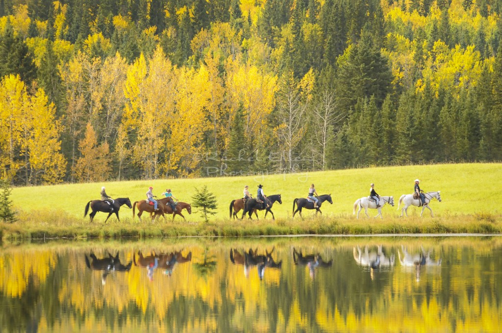 horseback riding in Alberta