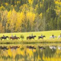 horseback riding in Alberta