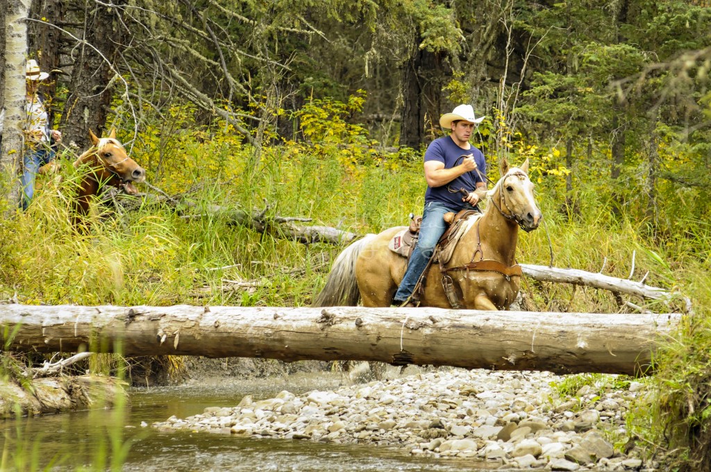 horseback riding southern alberta