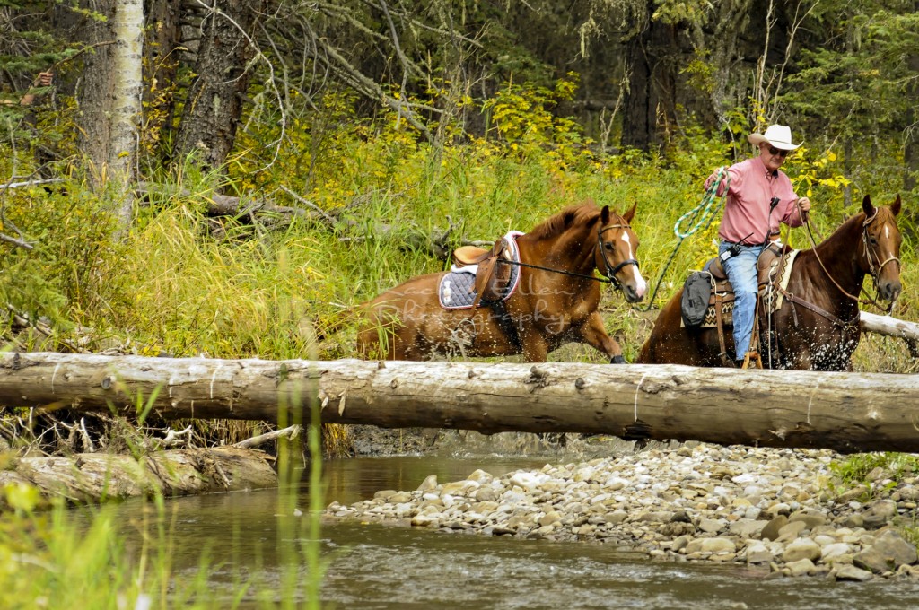 crossing a creek on a horse