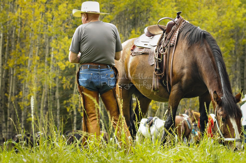 Alberta cowboy