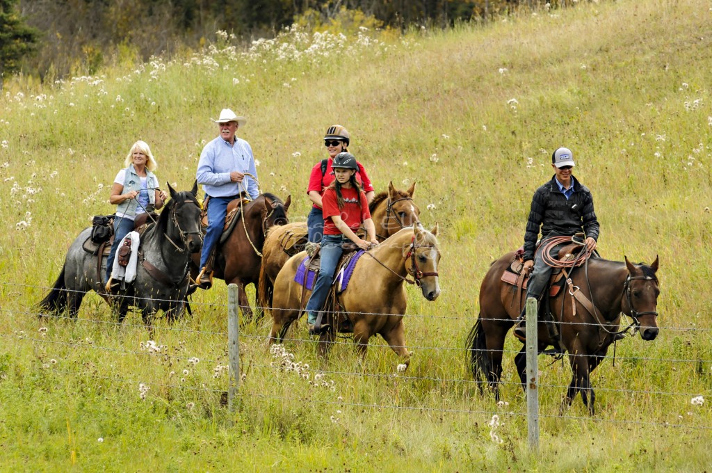 horseback trail ride