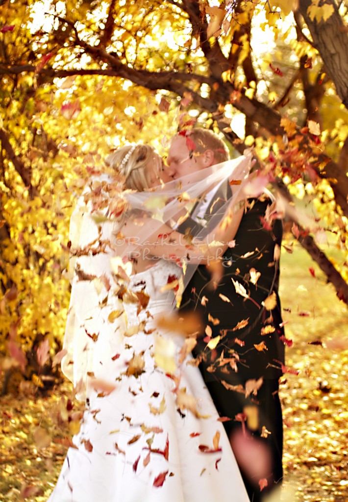 Fall Wedding Portraits