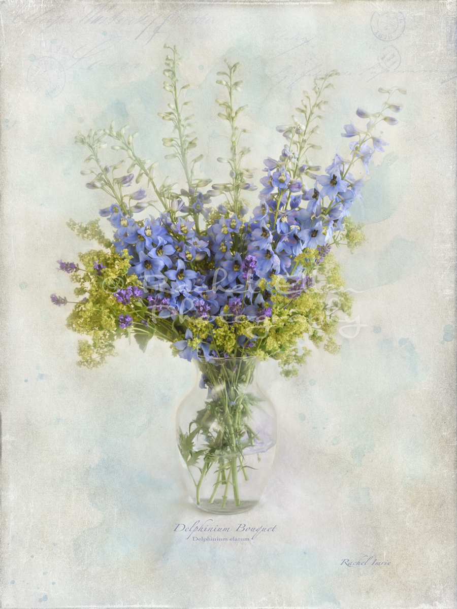 Delphinium Bouquet